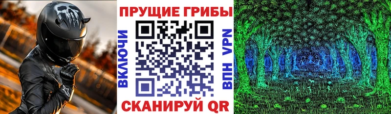 Галлюциногенные грибы MAGIC MUSHROOMS  ОМГ ОМГ   Берёзовка 